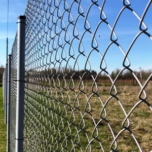 20b760a4467022771a825cc95db586e424d3a832.webp_full